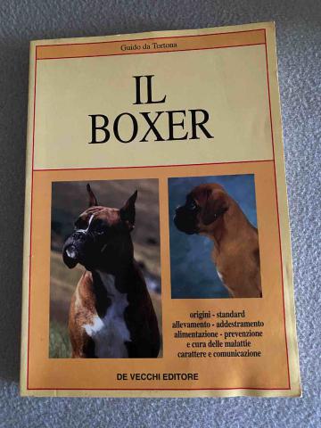 Tortona, Guido: Il boxer