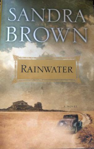 Brown, Sandra: Rainwater