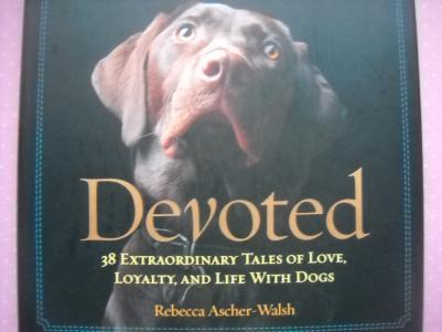 Ascher-Walsh, Rebecca: Devoted: 38 Extraordinary Tales of Love, Loyalty, and Life With Dogs