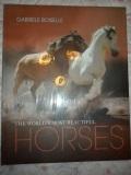 Boiselle, G.: Worlds Most Beautiful Horses Book