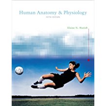 Marieb, Elaine: Human Anatomy & Physiology